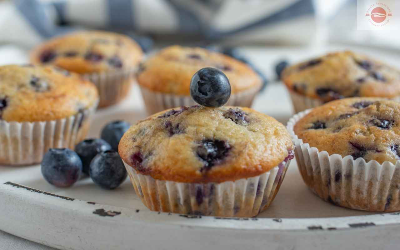 Blueberry Muffin